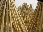 Bamboo Poles