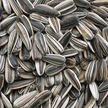 sunflower seeds