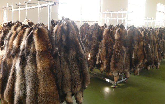 supply raccoon skin, fox skin