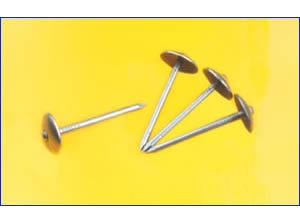 Roofing Nail