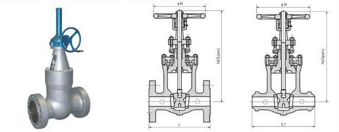 pressure seal gate valve