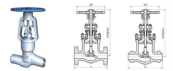 pressure seal globe valve