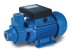 peripheral water pump