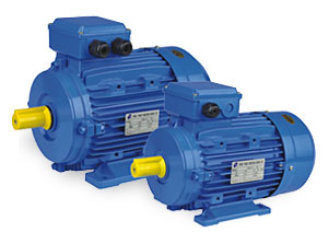 MS series three phase induction motor