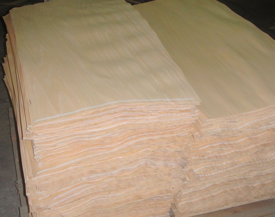 Beech Rotary Cut Veneer(1)