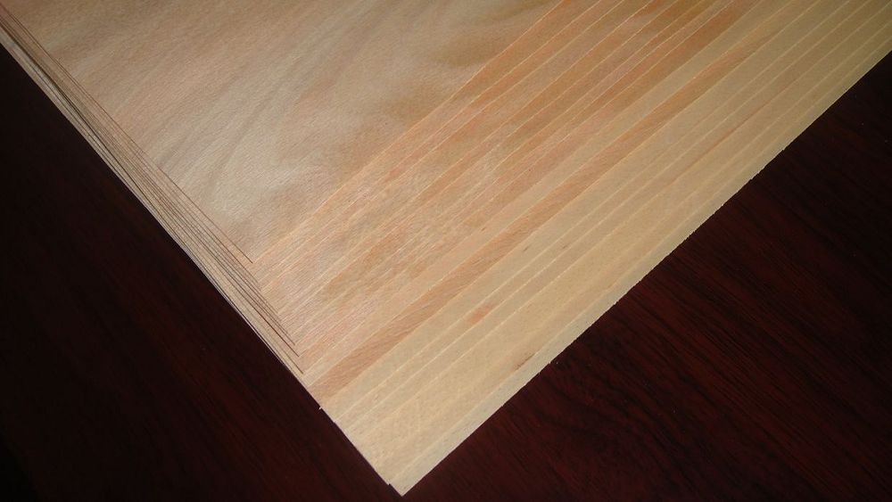 Beech Rotary Cut Veneer(3)