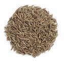 cumin seed