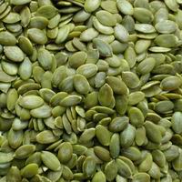 Kernels Pumpkin Seed