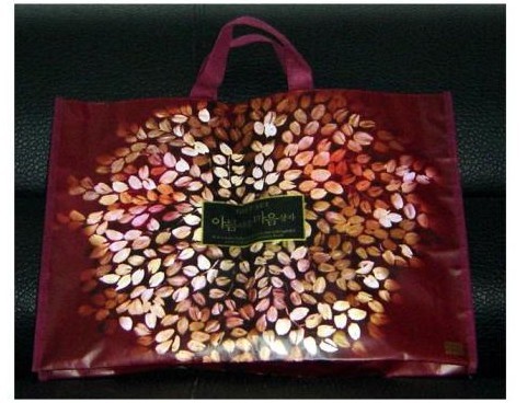 Non Woven Shopping Bag