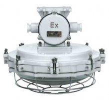 DCY51-H explosion proof lamp