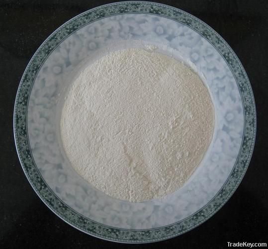 White Onion Powder