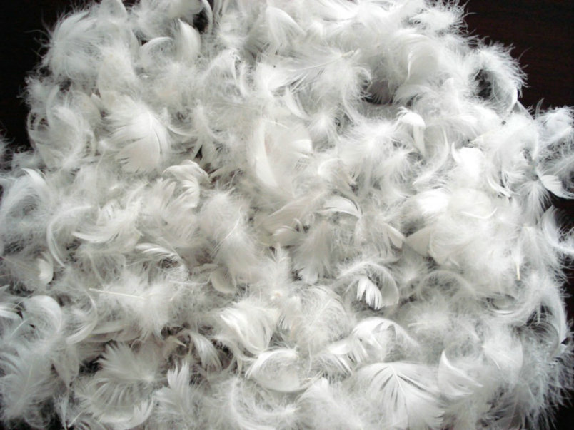 washed white  duck feather/washed white goose feather