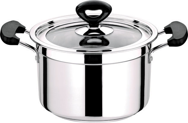 stainless steel casseroles