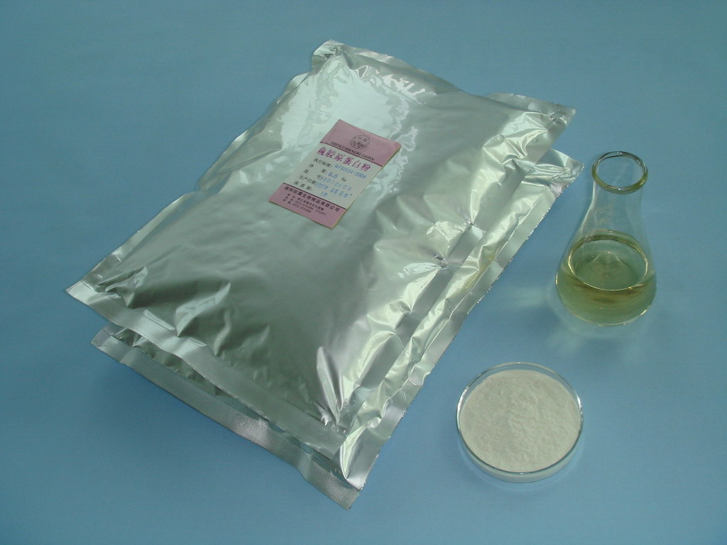 hydrolyzed collagen powder