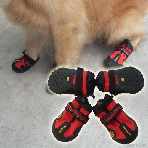 dog shoes