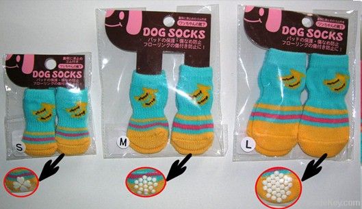 dog socks