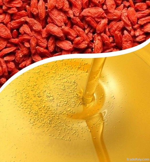 Goji Seed Oil