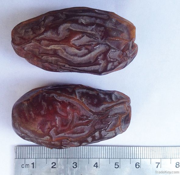 Large Premium Medjool Dates