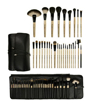 professional makeup brush set