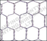 hexagonal wire mesh