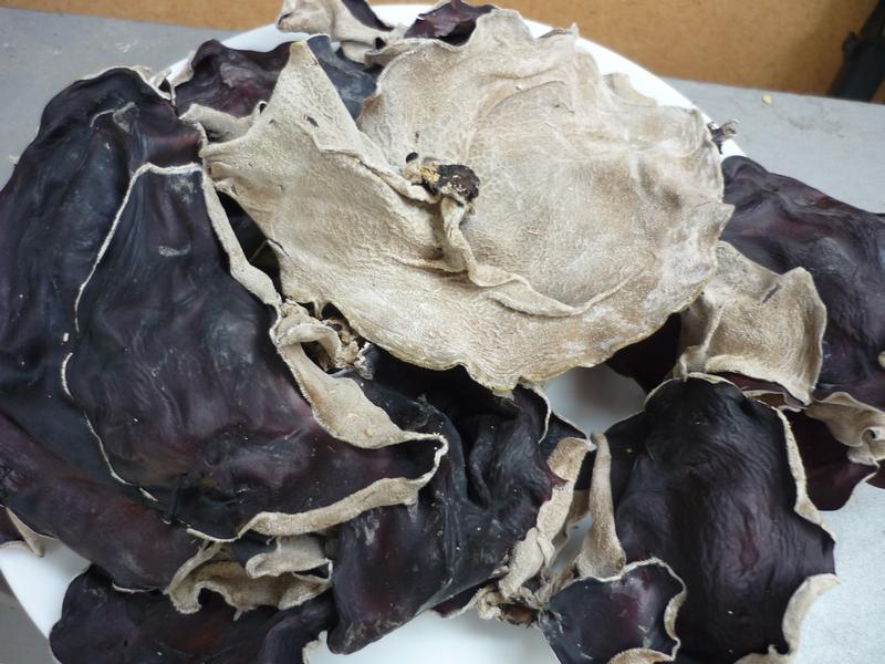 dried black fungus mushroom