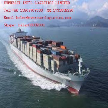 LCL freight forwarding agents to  SOKHNA, Egypt from shenzhen, China