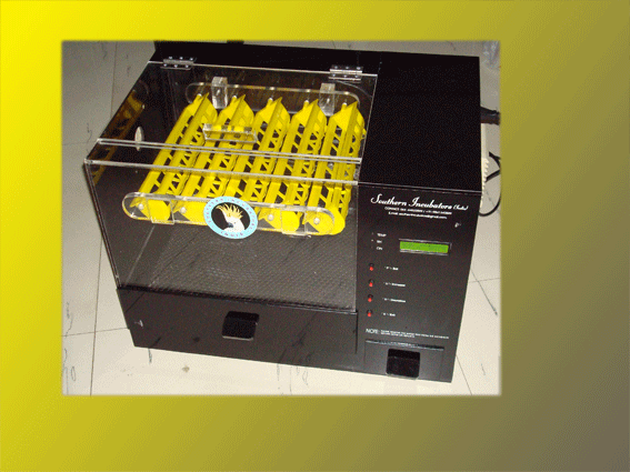 CHICKEN EGG INCUBATOR