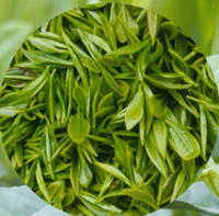 Green Tea Extract