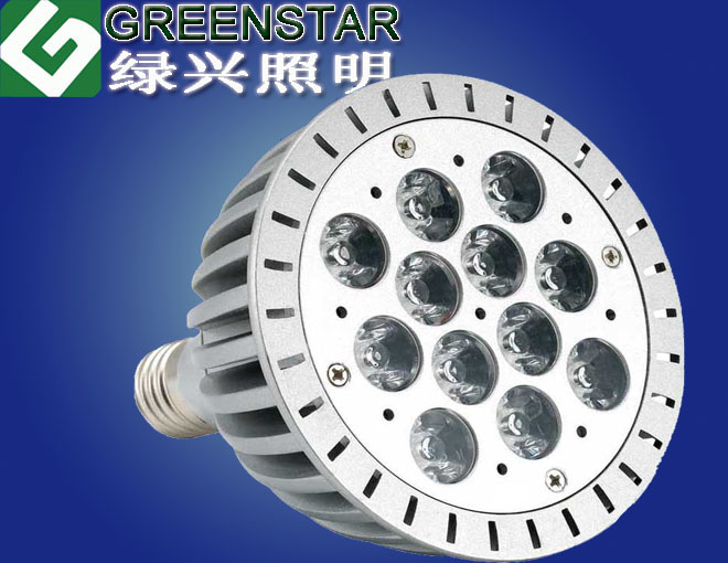 PAR38 LED spotlight