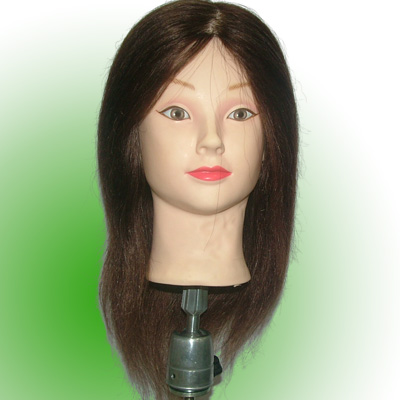 Wig Training Head