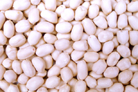 blanched peanut kernels