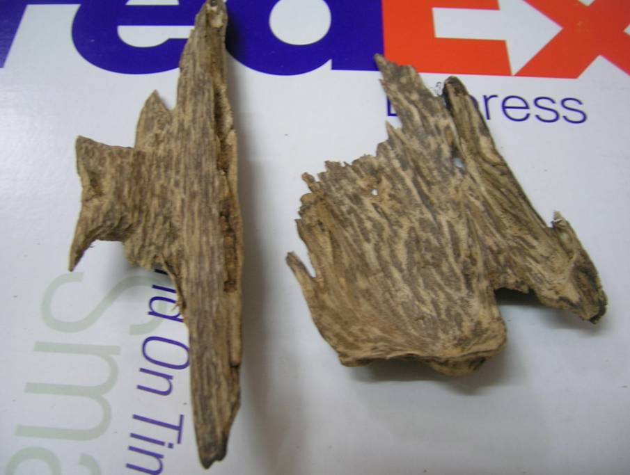 Agarwood Chips/Oil