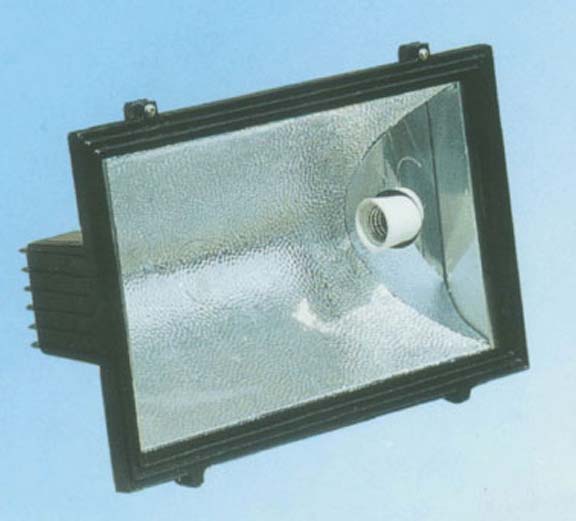 Flood Light