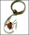 Insect amber crafts-Keychain