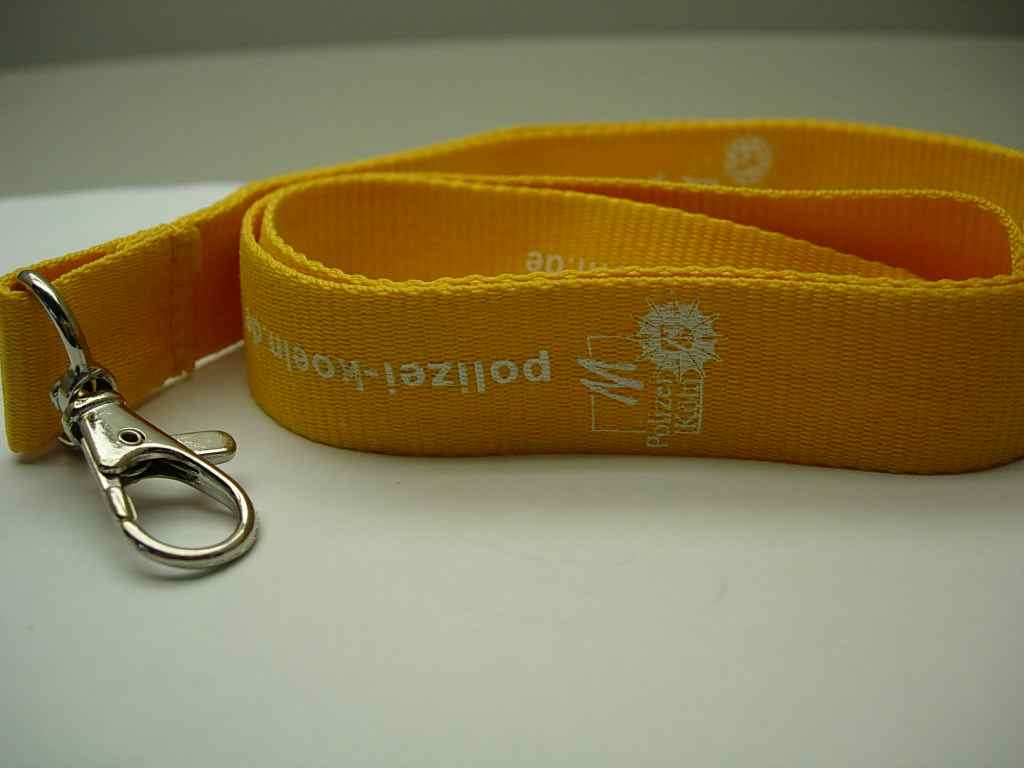 Lanyard