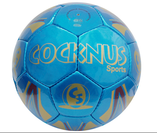 Training ball