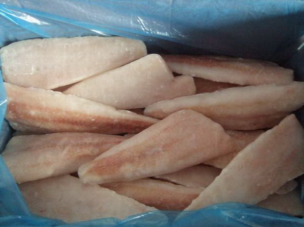 FROZEN HAKE FILLETS