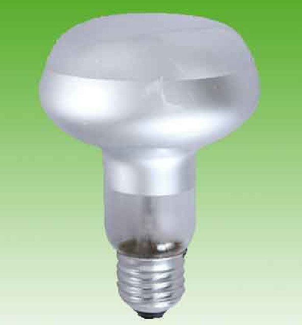 R80 Halogen Lamps