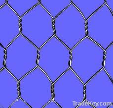 hexagonal wire netting