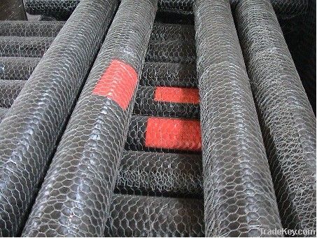 hexagonal wire netting