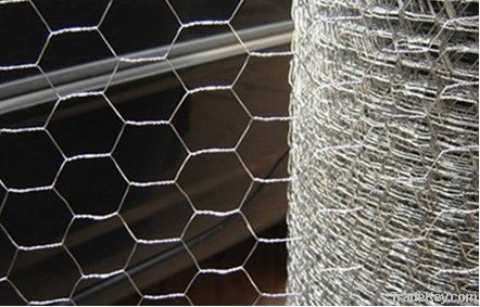 hexagonal wire netting