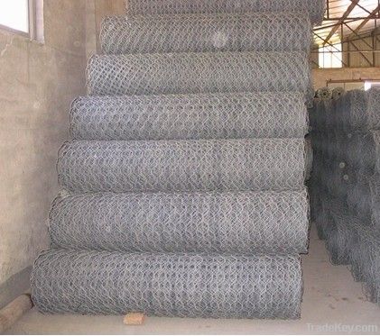 galvanized hexagonal wire mesh for sell