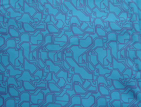 Print Shiny Fabric