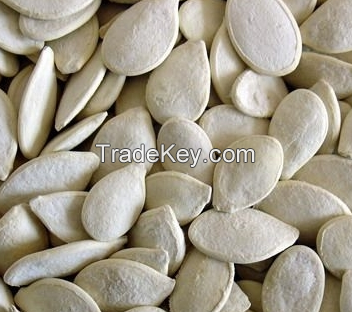 shine skin pumpkin seeds