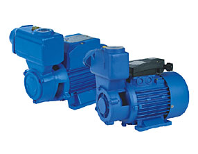 TPS/DBZ SERIES SELF-PRIMING PERIPHERAL PUMPS