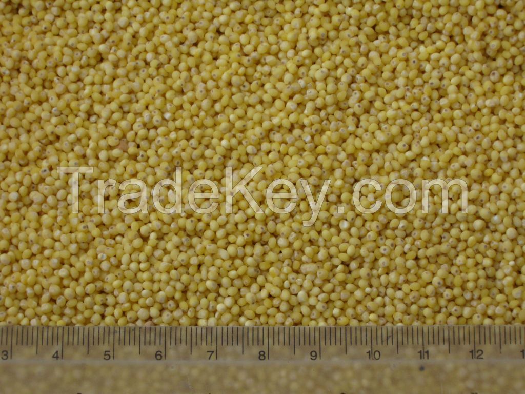 hulled millet