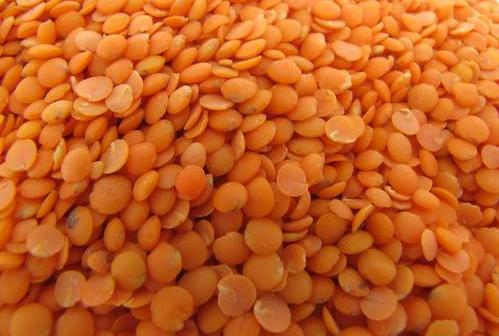 split red lentils suppliers , red split lentil lentille