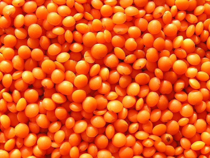 Split Red Lentils suppliers , Red Split Lentil Lentille exporters, Lense wholesaler, Lenteige, Masoor dal exporters, Mercimek suppliers, bulk Saabat Masoor traders