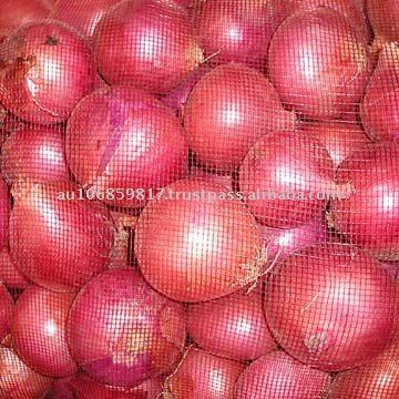 RED ONION