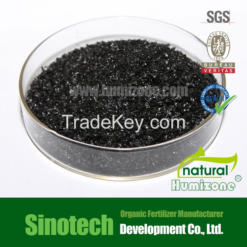 Humic Acid from Leonardite: Humizone Potassium Humate Powder (H070-P)